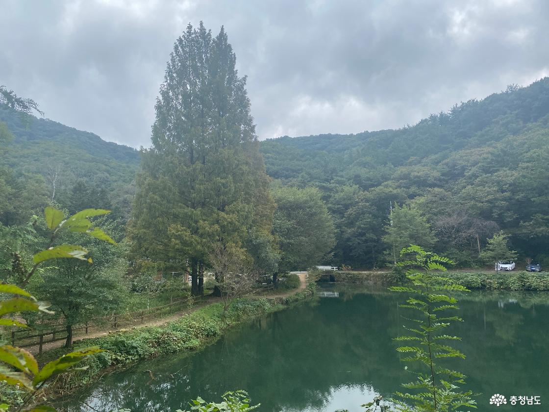송곡지 12
