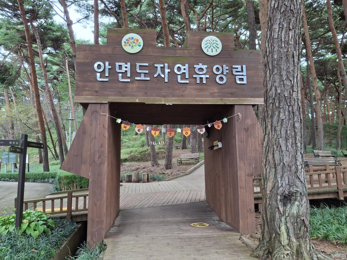 상큼한 가을 바람이 머무는 곳! 안면도 자연휴양림!!