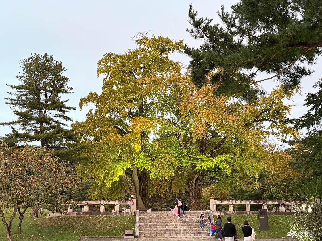 아산 현충사 달빛야행 
