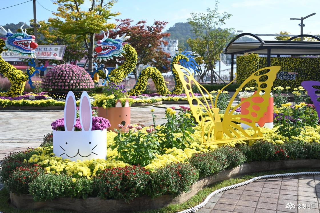 국화를 주제로 한 다양한 볼거리