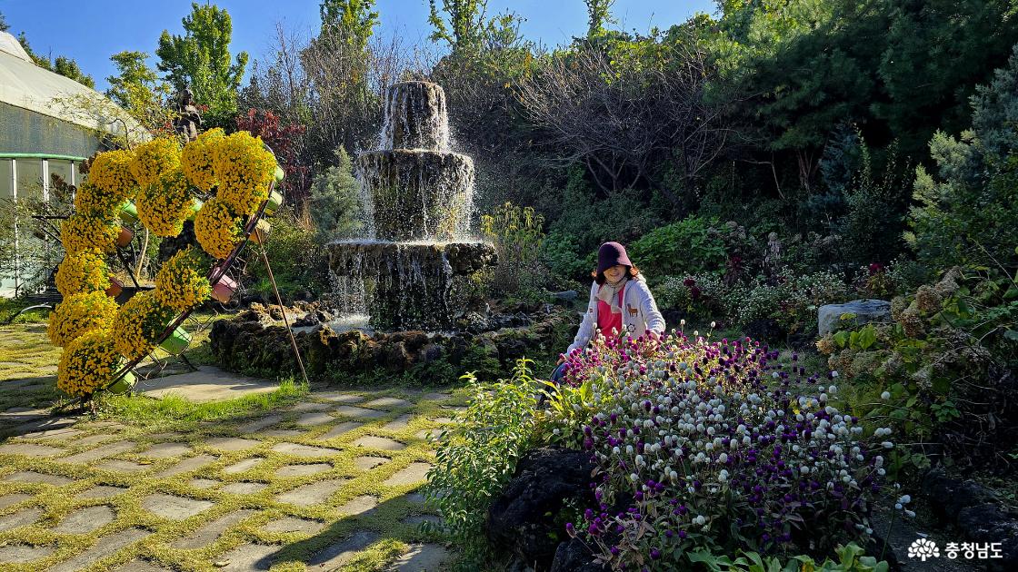 분수 앞에는 국화를 비롯한 예쁜 가을 꽃이 가득여 사진 찍기 좋은 곳이다.
