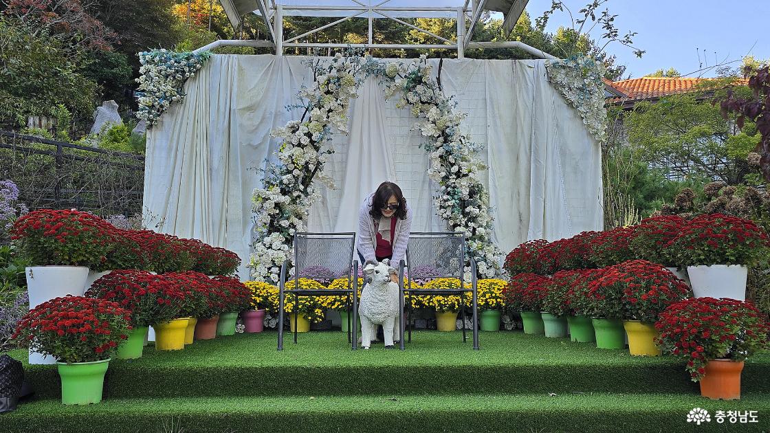 야외 예식장도 예쁘게 꾸며 놓았다.