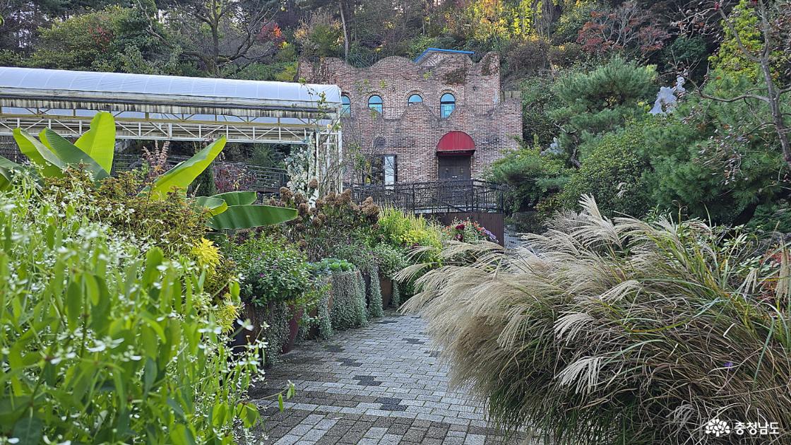 예식장 뒤편의 가을 풍경