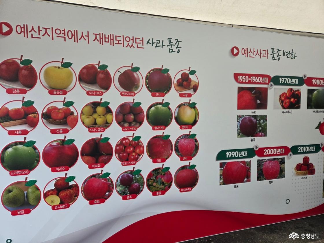 예산 삼국축제와 사과축제