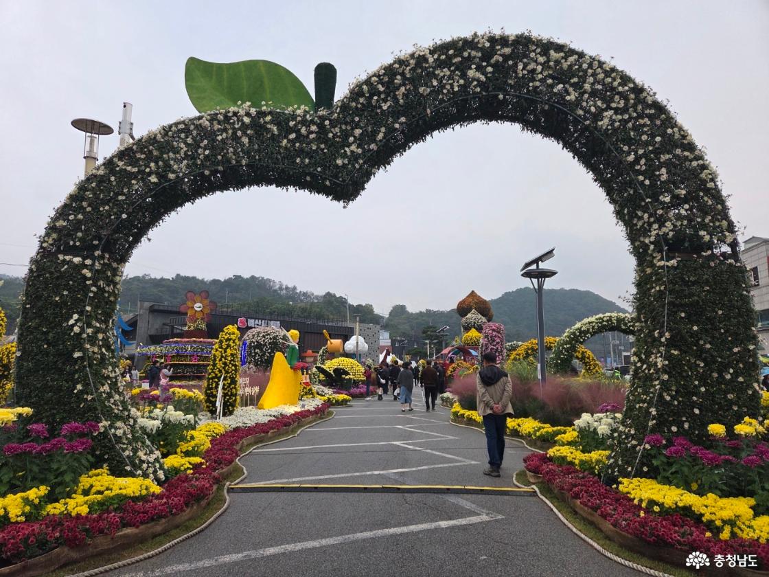 예산 삼국축제와 사과축제