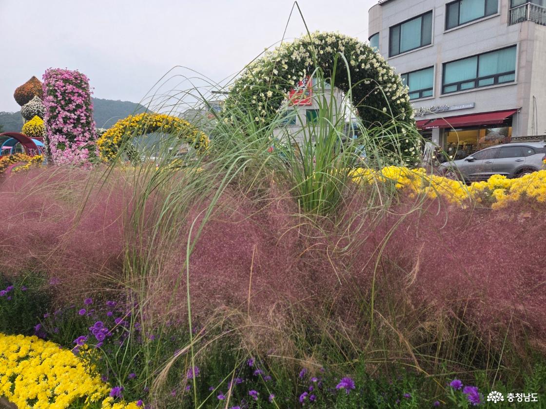 예산 삼국축제와 사과축제
