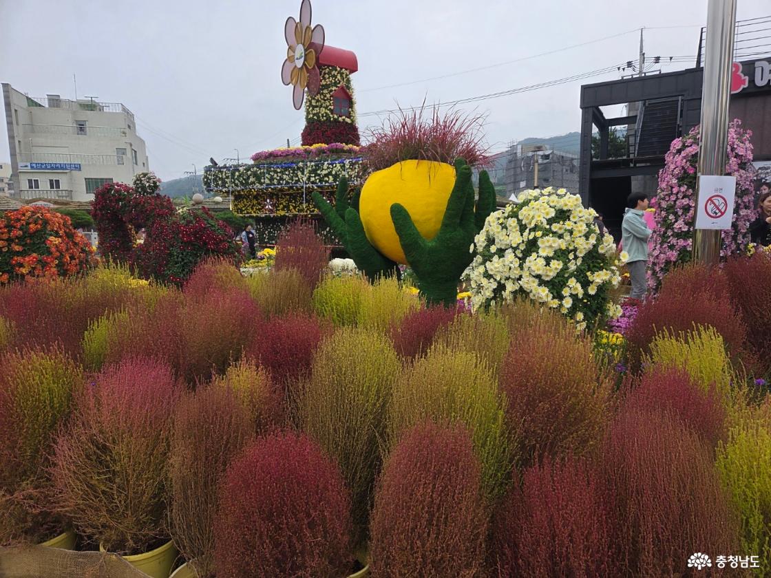 예산 삼국축제와 사과축제