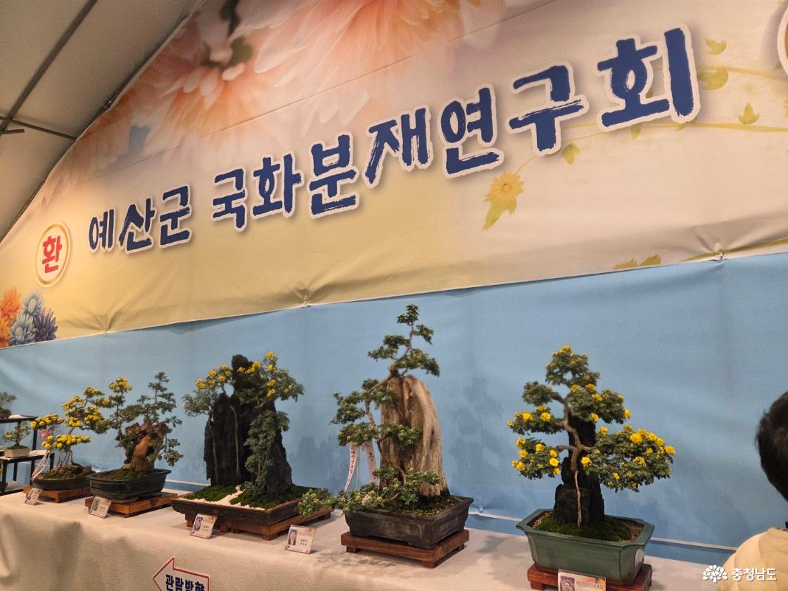 예산 삼국축제와 사과축제