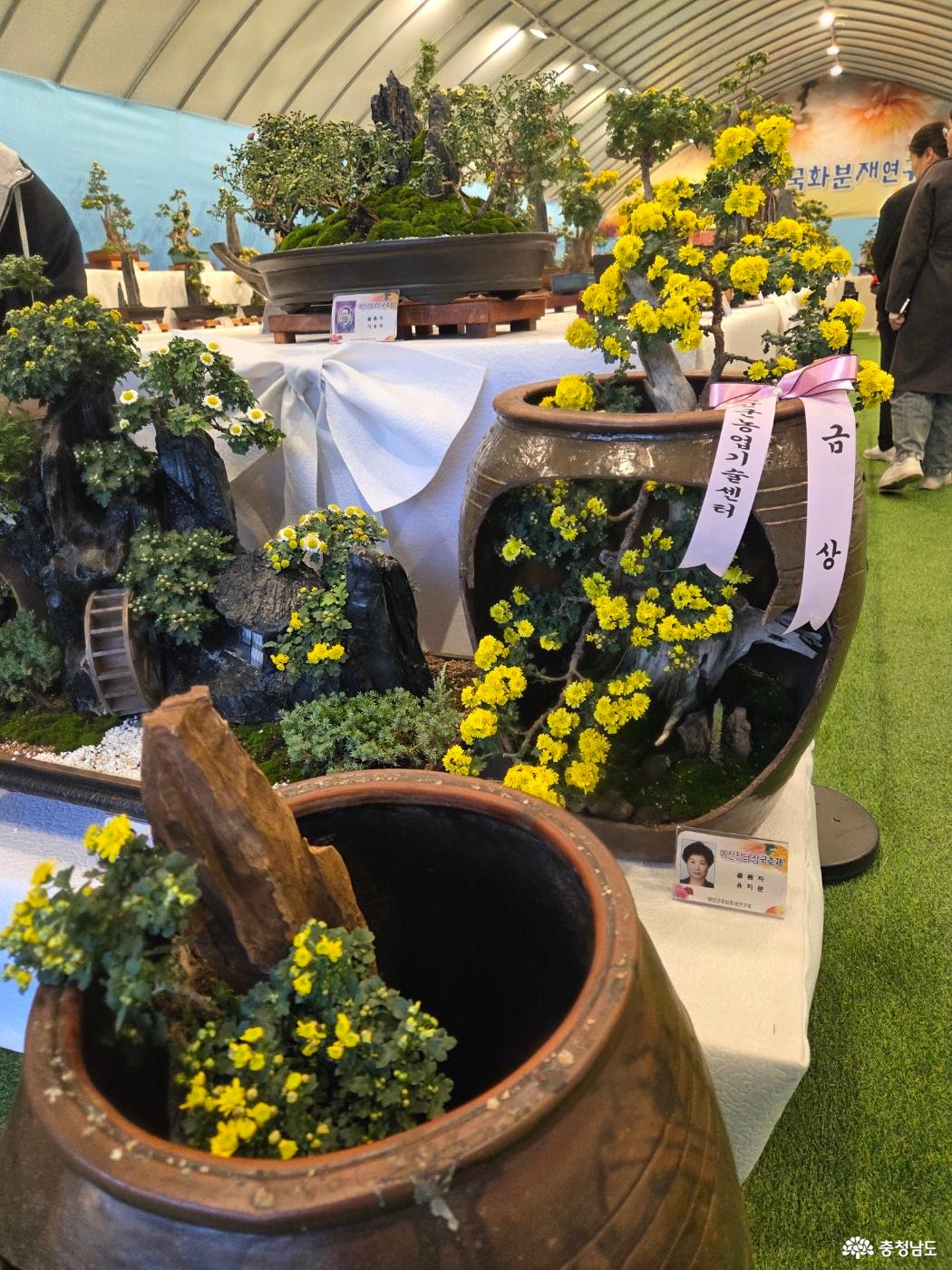 예산 삼국축제와 사과축제