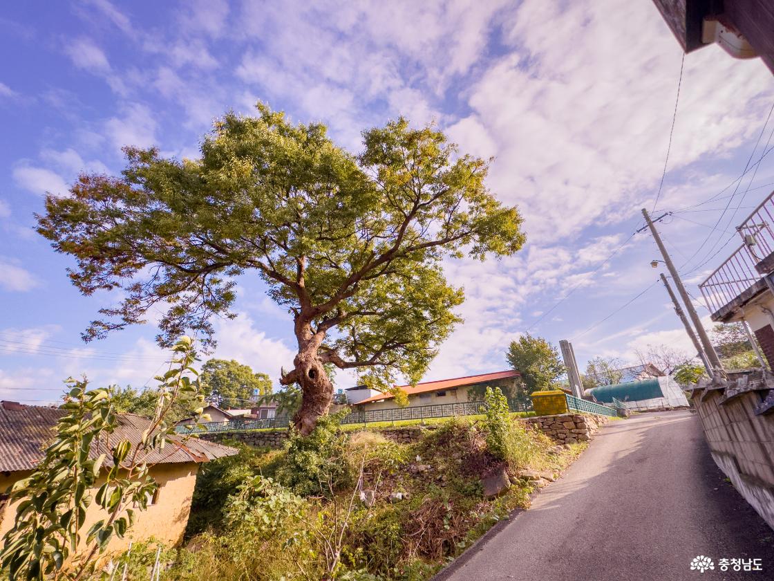 천흥사지 당간지주 위치한 작은 골목길 