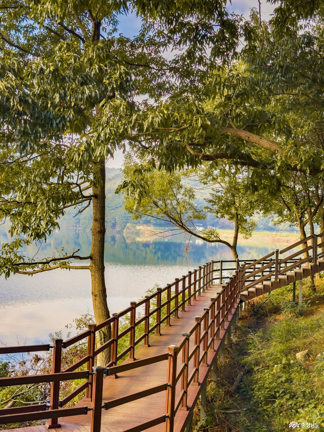 천흥저수지 수변데크길 세로 