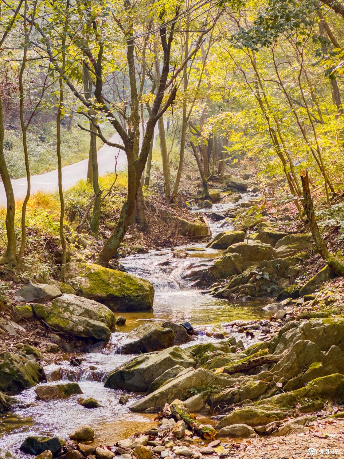 성거산 천흥계곡