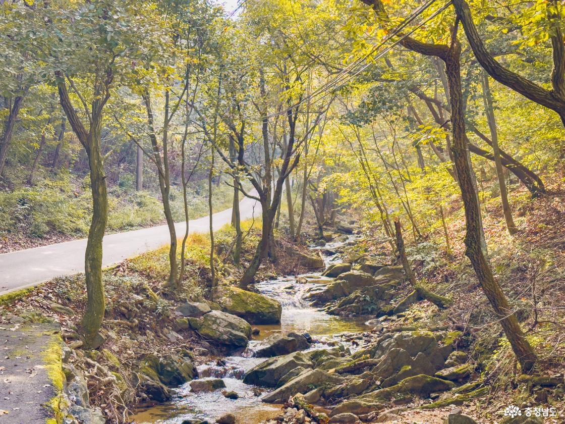 성거산 천흥계곡