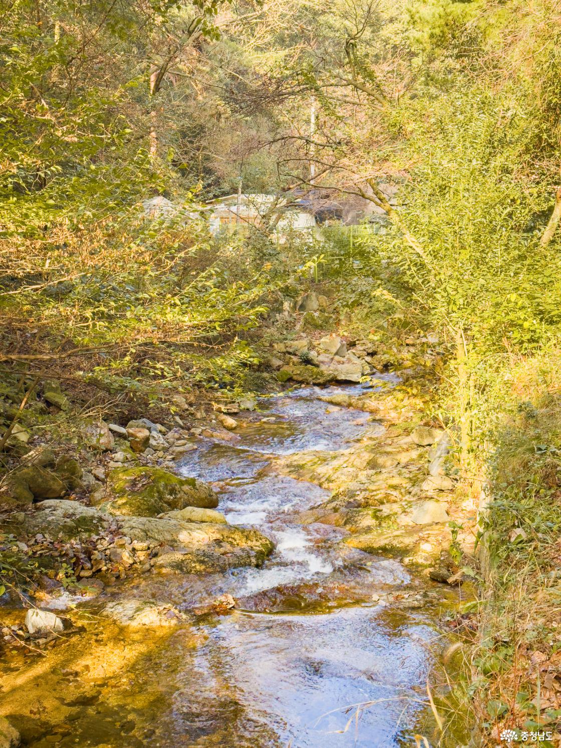 성거산 천흥계곡