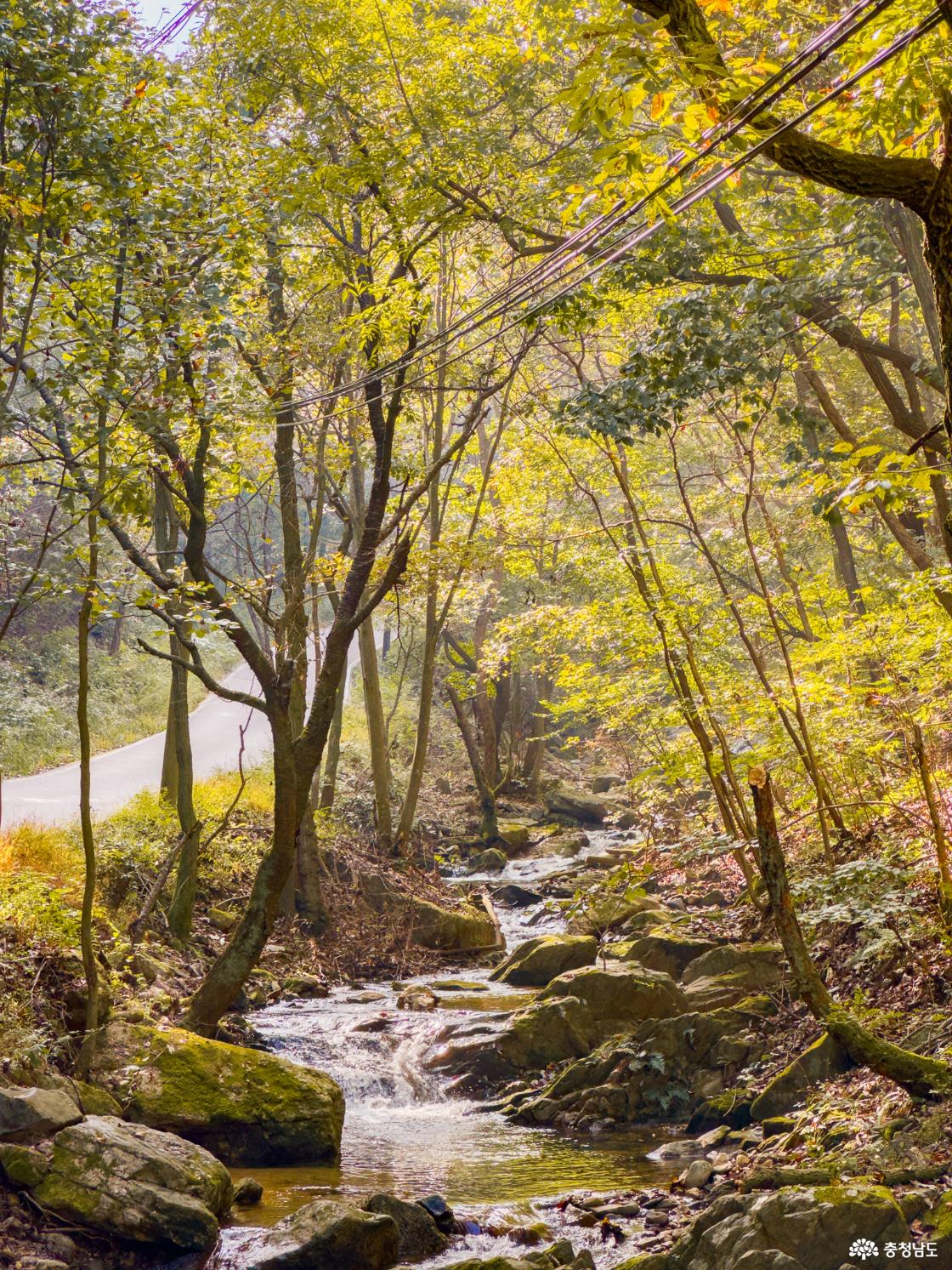 성거산 천흥계곡