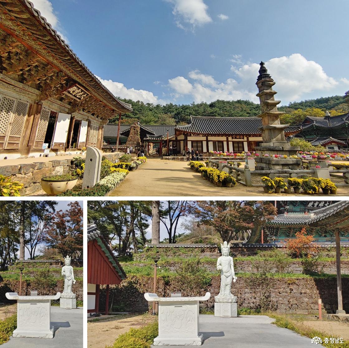 태화산 마곡사 대광보전과 관세음 보살상