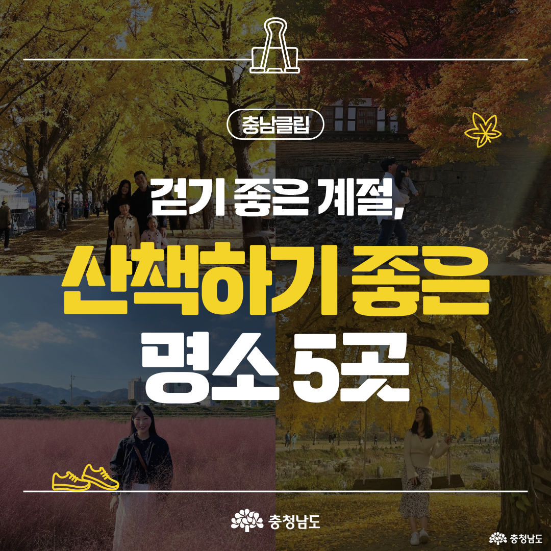 정사각형 표지 이미지에 집게 모양 아이콘과 함께 ‘걷기 좋은 계절, 산책하기 좋은 명소 5곳’ 문구가 중앙 굵은 흰색·노란색 글자로 배치 장면입니다. 배경은 은행나무길, 사찰 돌담 단풍, 핑크뮬리, 큰 나무 그네 등 가을 풍경 4분할 콜라주 구성입니다. 하단 중앙에 충청남도 로고와 좌하단 노란 운동화 아이콘 표시 장면입니다.