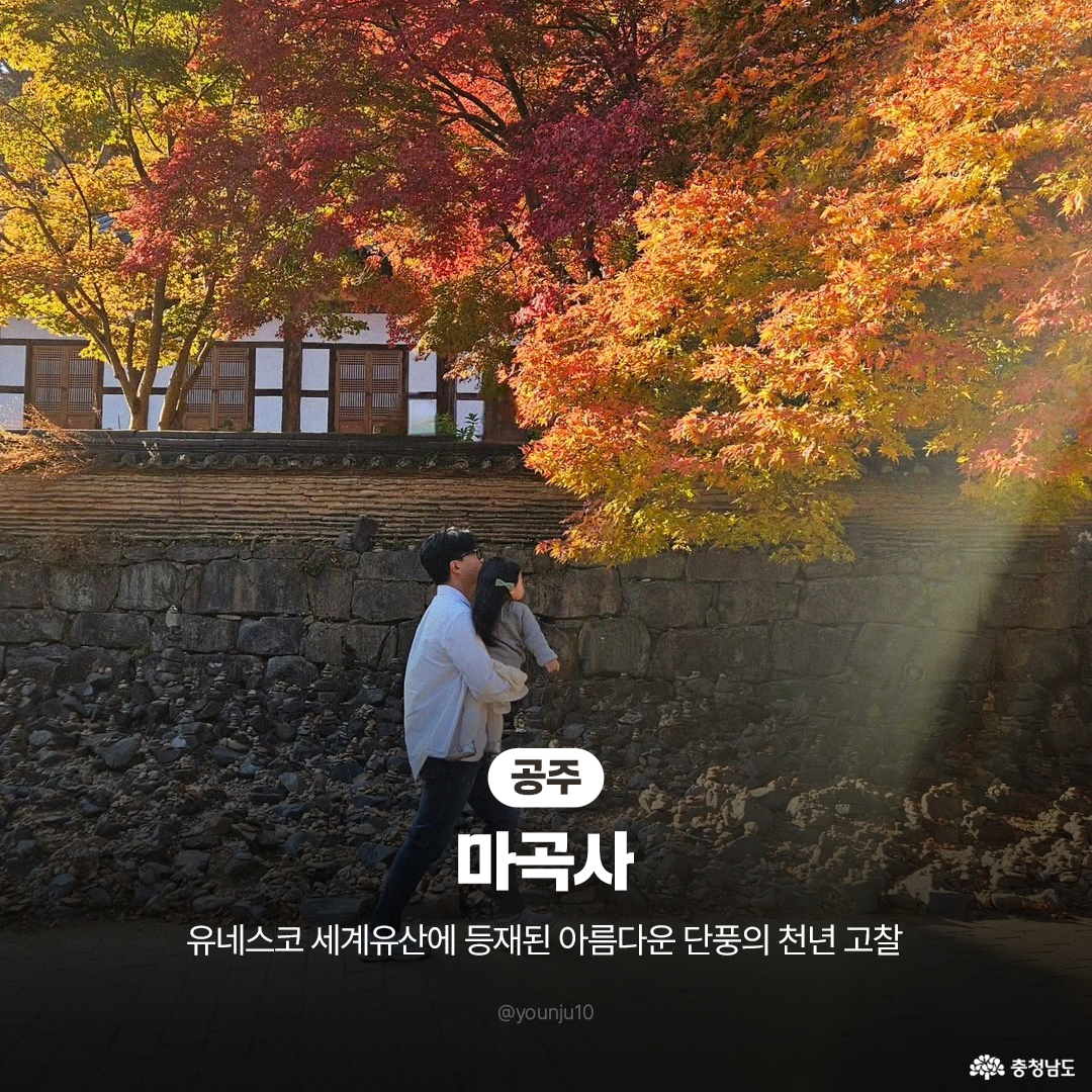 공주 마곡사 소개 이미지로, 돌담과 기와 건물 앞 붉은·주황 단풍나무가 터널처럼 드리운 장면입니다. 흰 셔츠를 입은 아버지가 어린아이를 안고 걷고, 햇살 한 줄기가 오른쪽에서 비스듬히 내려오는 가을 오후 분위기 연출 장면입니다. 하단 중앙에 ‘공주 마곡사, 유네스코 세계유산 단풍 명소’ 설명 문구 오버레이 배치 장면입니다.