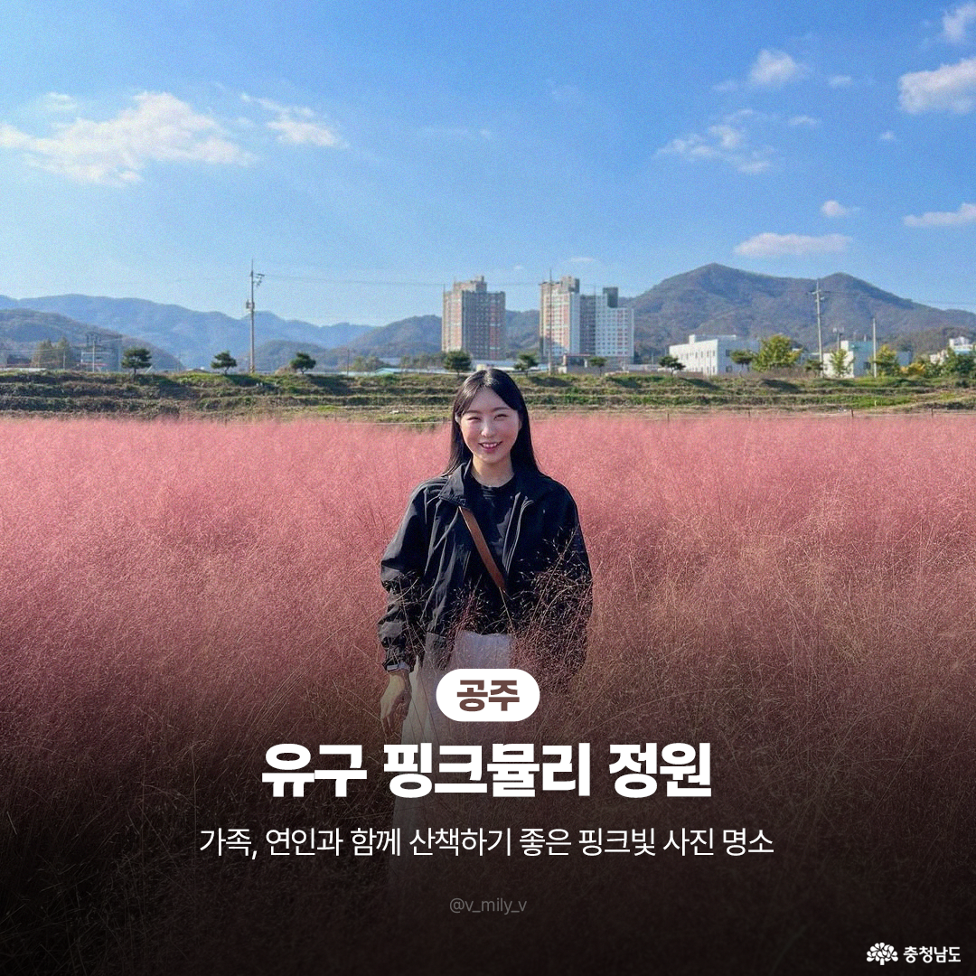 공주 유구 핑크뮬리 정원 사진으로, 넓은 분홍 억새밭 한가운데 검정 점퍼를 입은 여성이 서 있고 뒤로 아파트와 낮은 산맥, 파란 하늘이 펼쳐진 장면입니다. 잔잔한 구름과 가을 햇살로 밝은 색감 강조 장면입니다. 하단에 장소명과 ‘가족·연인 산책 사진 명소’ 설명 문구 배치 장면입니다.