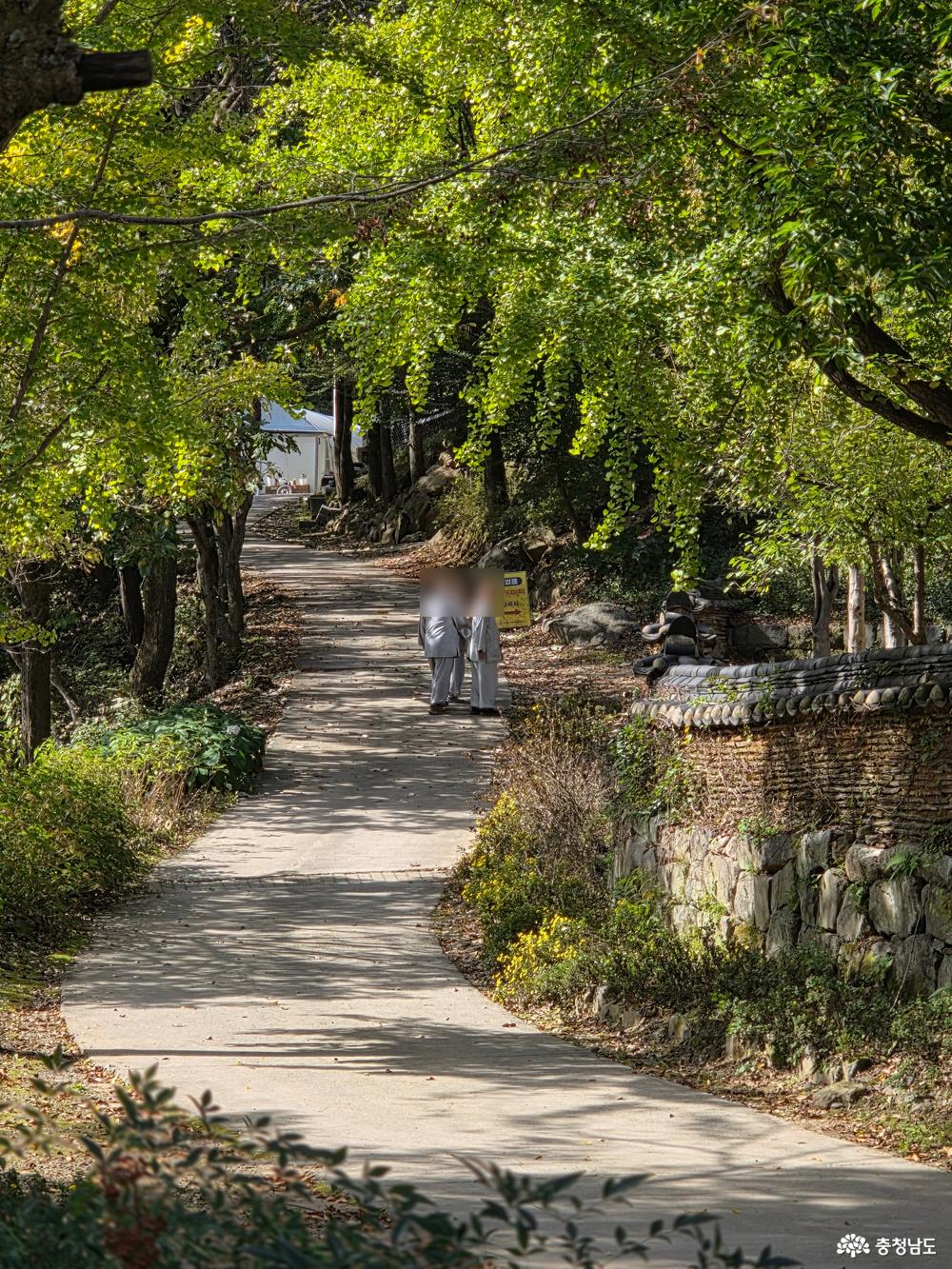 마곡사 뒤편 산으로 오르는 길에서 스님들 3분께서 정답게 걷고 계십니다. 산, 마곡사, 스님, 그리고 개울가까지 마음이 평온해지는 사진입니다.