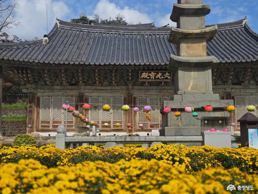 대웅전이라고 보통 알고 있는 마곡사의 '대광보전'의 모습입니다. 마곡사의 대광보전은 우리나라 문화재인 거 알고계셨나요? 목재 단층의 아름다움은 언제봐도 새롭게 다가옵니다.