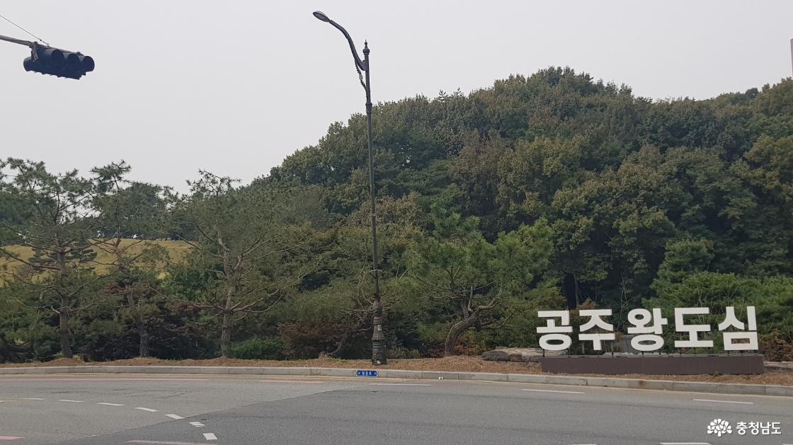 공주 이야기