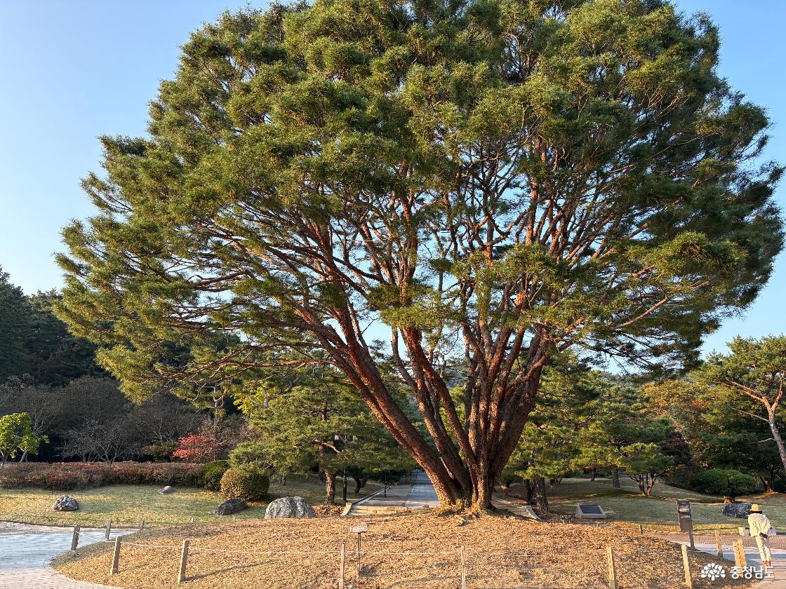 현충사