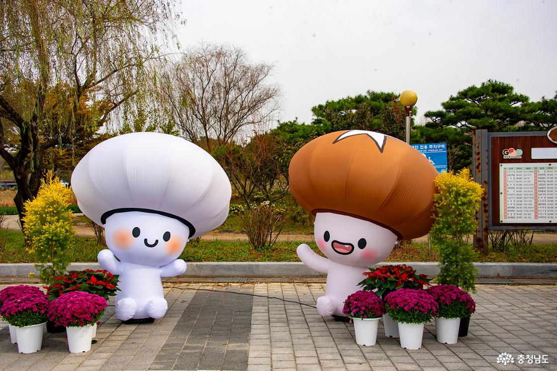 양송이·표고버섯 축제 조형물