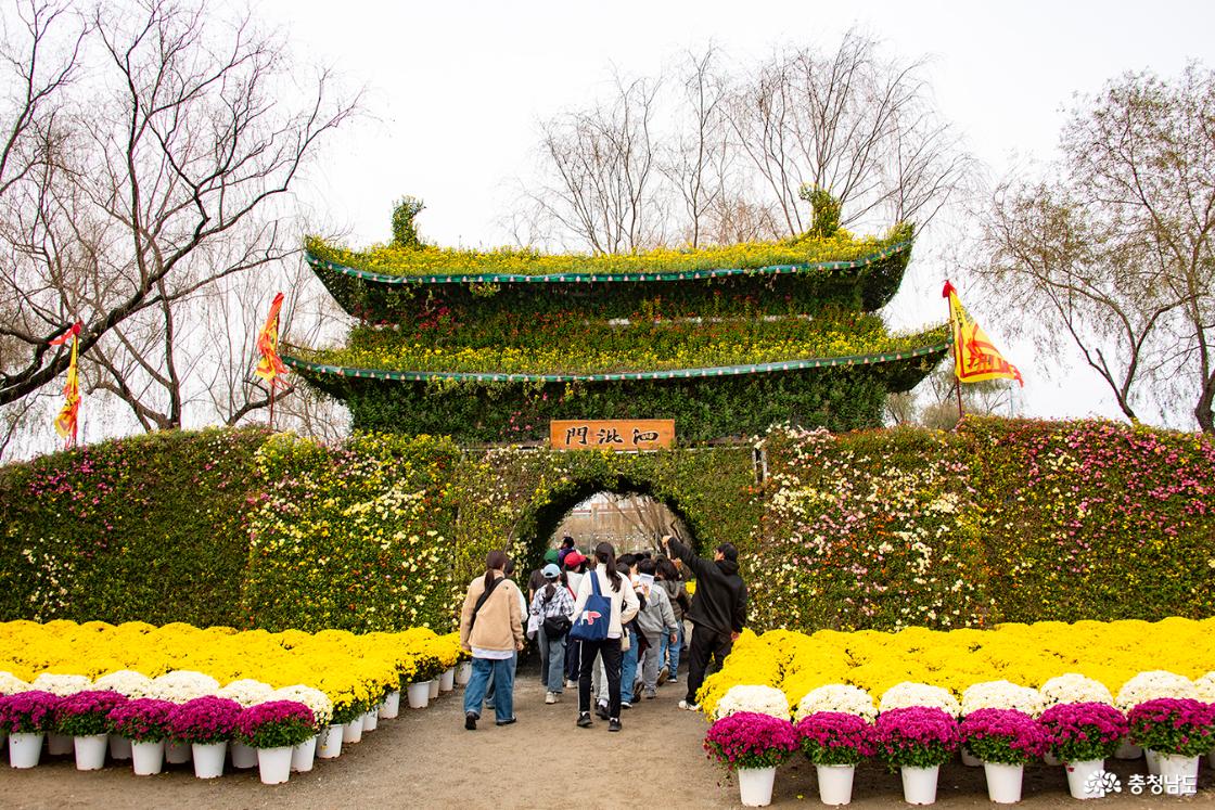 꽃대궐을 이룬 사비문