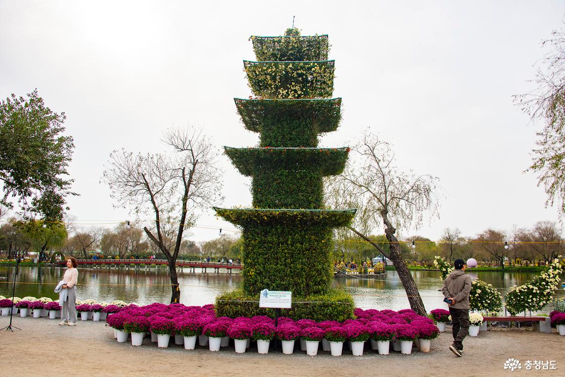 정림사지오층석탑 국화 조형물