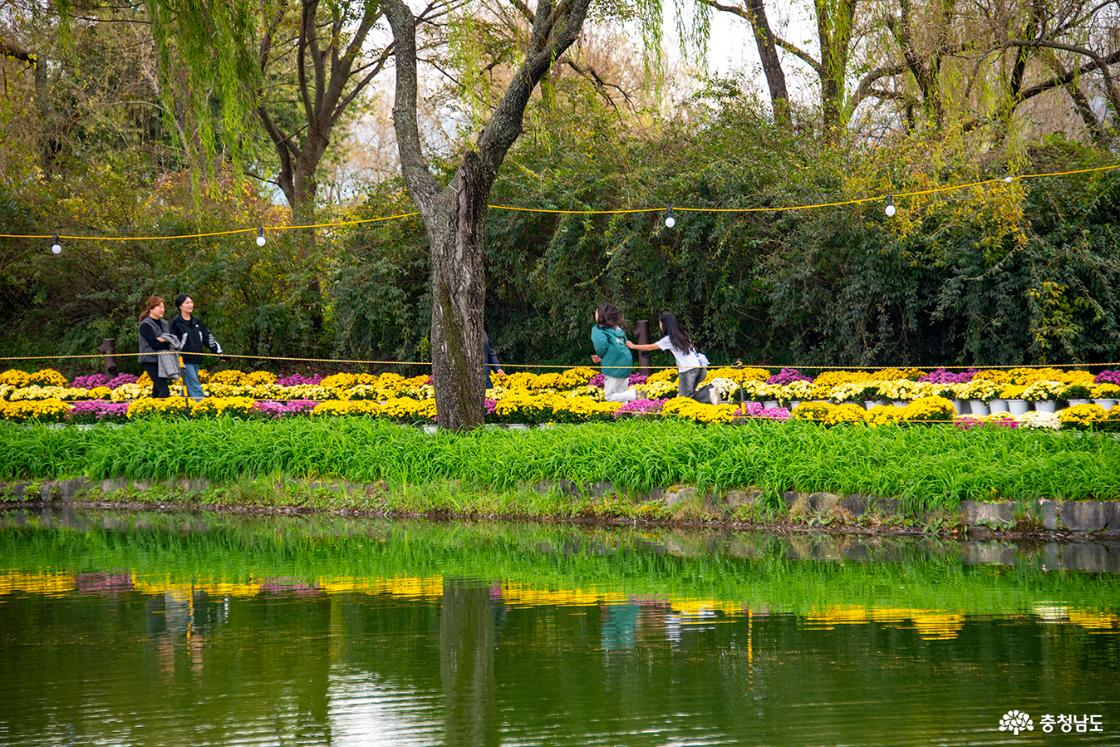 꽃빛향연길 – 야경이 아름다운 길