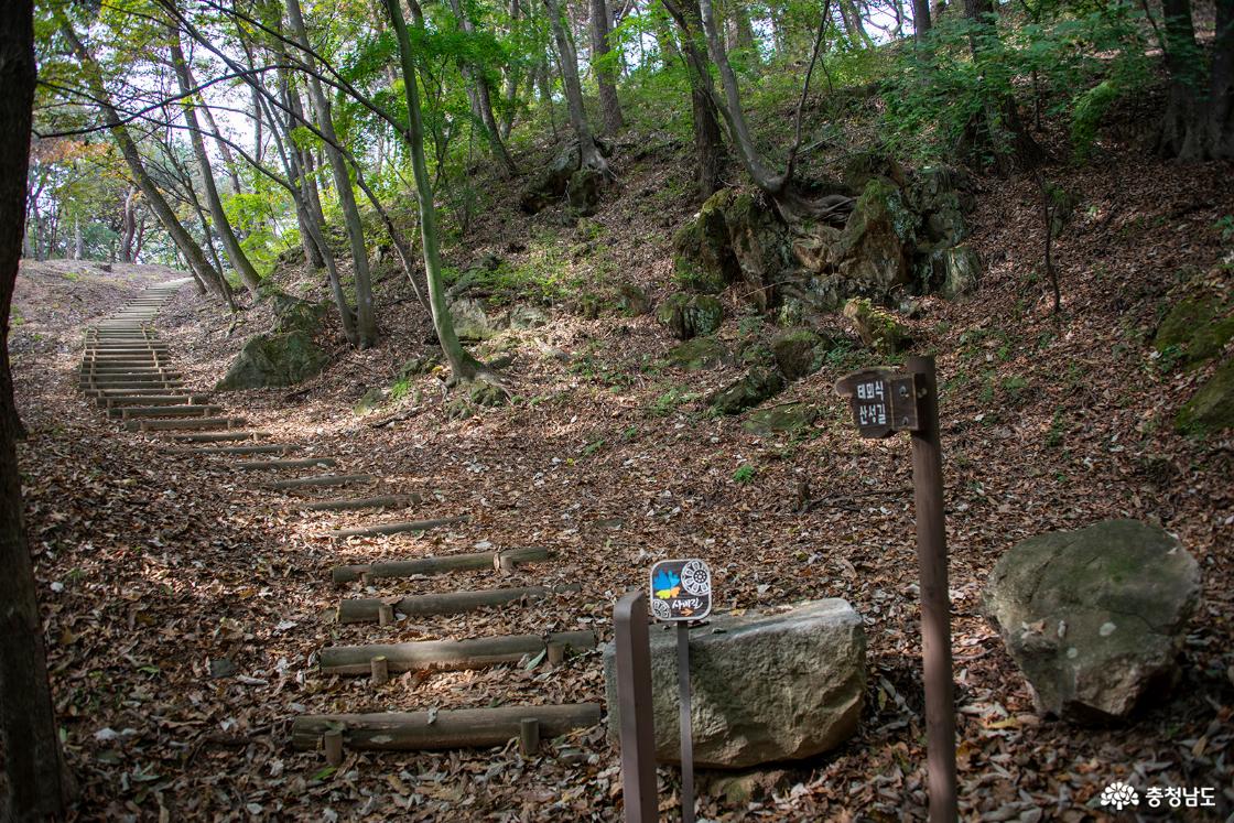 부소산성 테뫼식 산성길