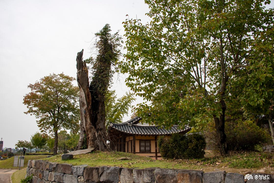 조선시대의 부여 관아의 모습
