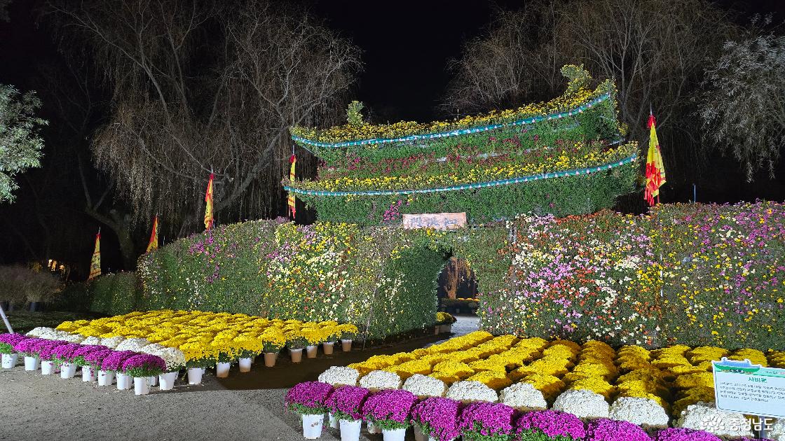 밤 풍경도 놓칠 수 없는 백제고도 부여의 국화 축제 속으로 