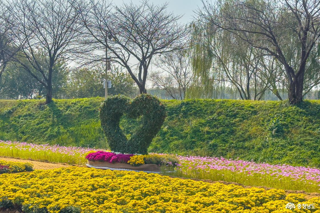 국화밭과 하트 조형물