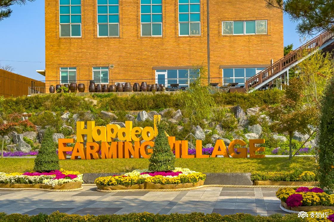 합덕농촌테마공원 