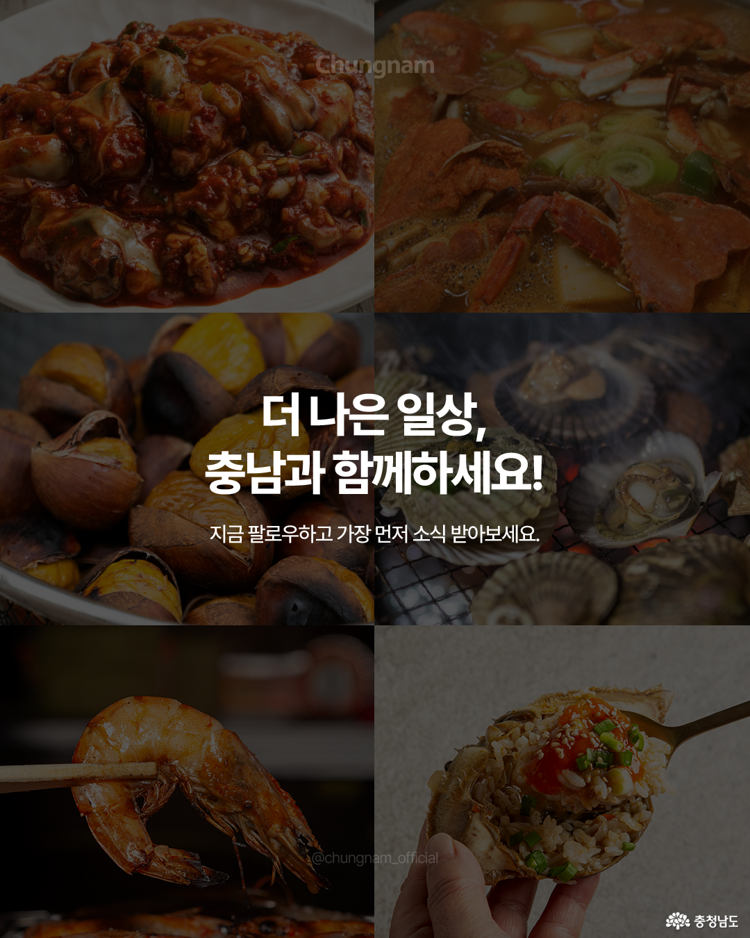 화면 중앙에는 “더 나은 일상, 충남과 함께하세요!”라는 문구가 흰색 글씨로 적혀 있고, 배경에는 충남 제철음식 사진들이 콜라주처럼 배열되어 있습니다. 상단에는 어리굴젓, 계국지, 하단에는 대하, 밤, 계장, 조개구이 등의 대표 음식들이 조화롭게 배치되어 있습니다. 충남의 맛과 따뜻한 일상을 상징적으로 보여주는 마무리 이미지입니다.
