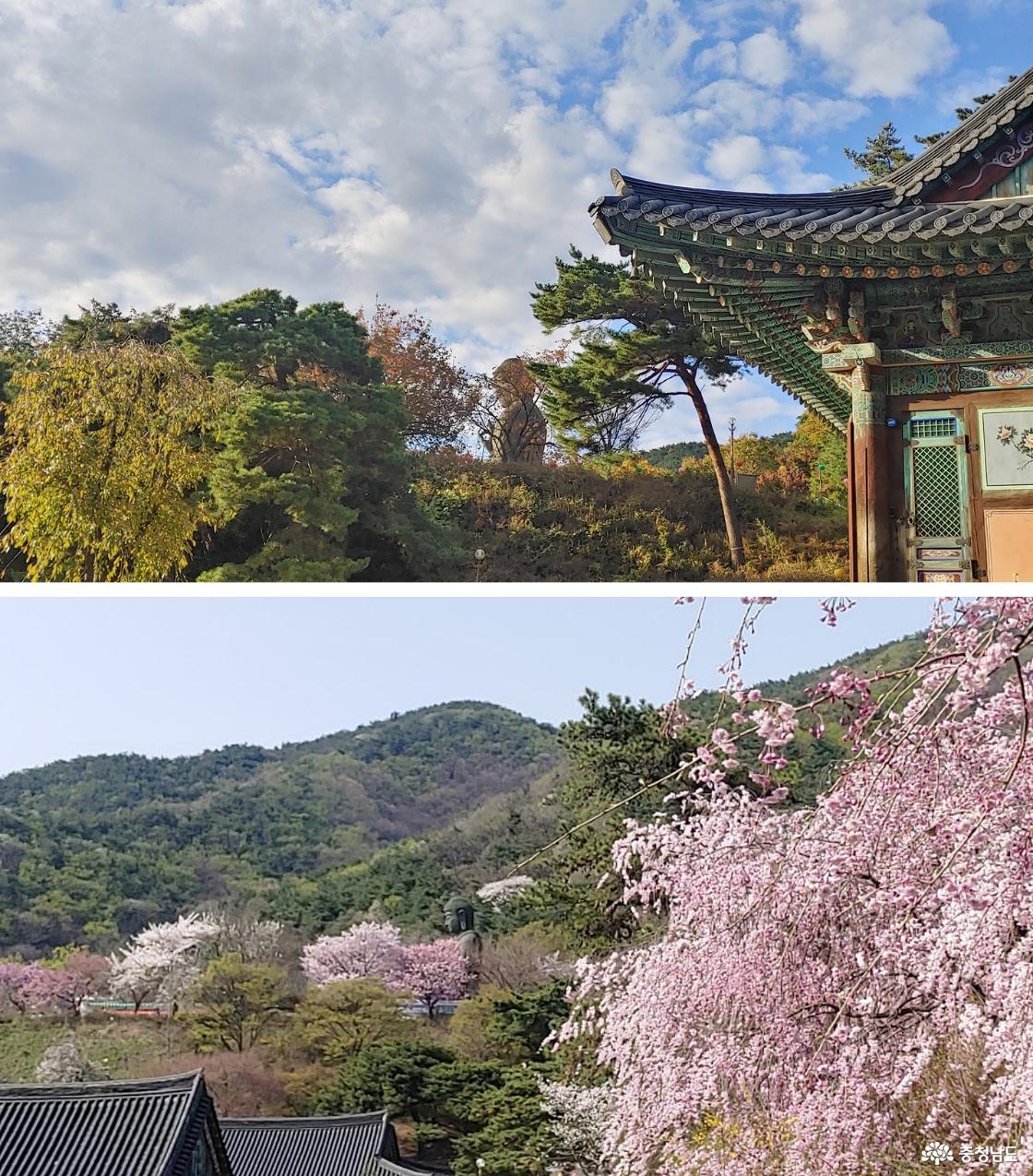 대웅보전 처마 아래로 보이는 청동대불 / 대웅보전으로 오르던 2024년 4월, 청동대불