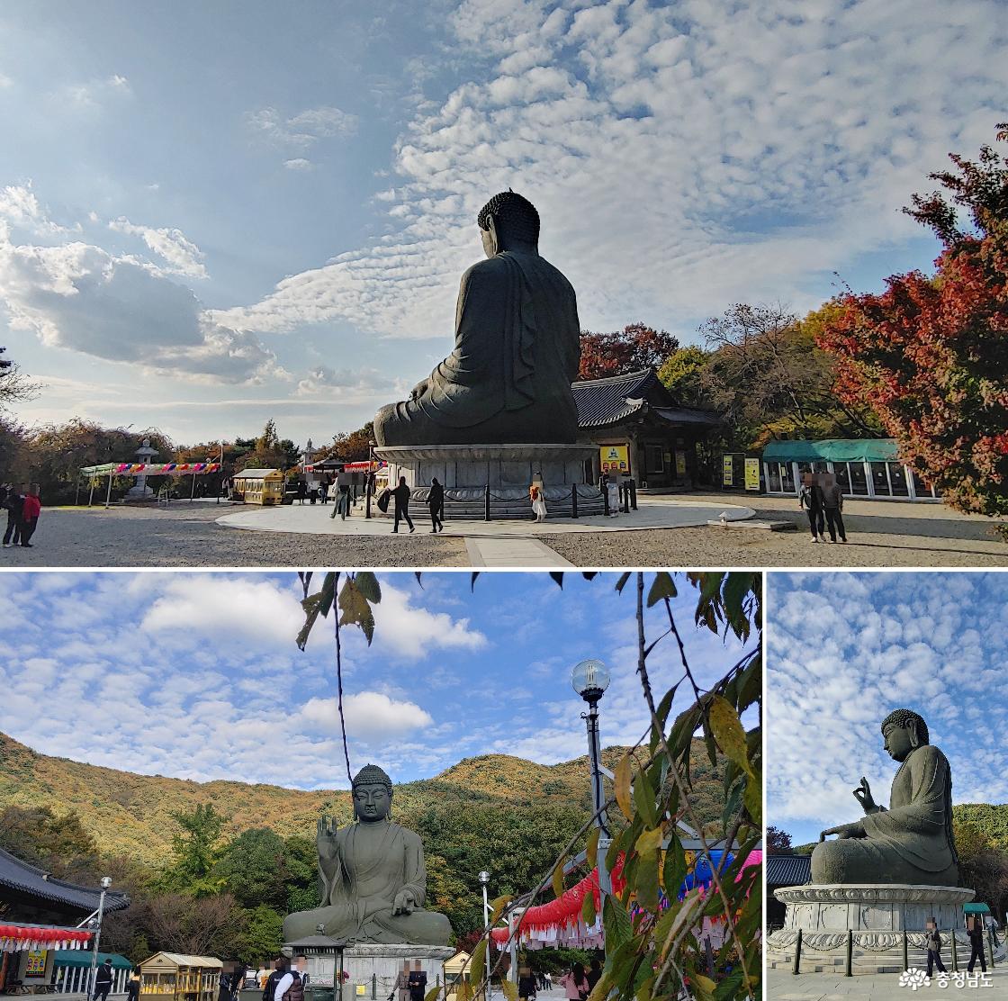 왼쪽 건물, *설법전 / 청동대불 뒷모습 / 청동대불 정면과 오른쪽 모습