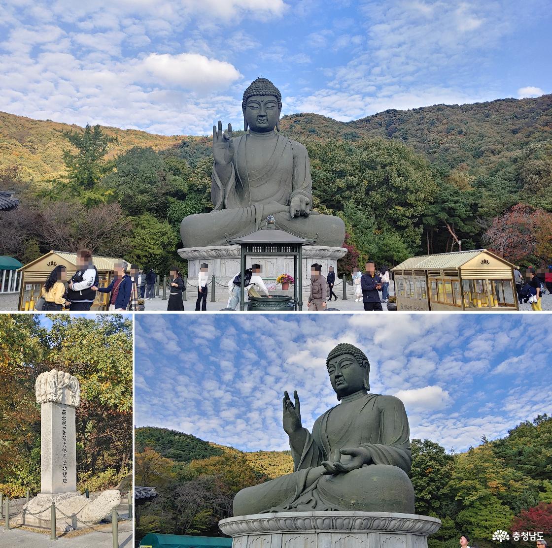 청동대불 / 남북통일 염원비