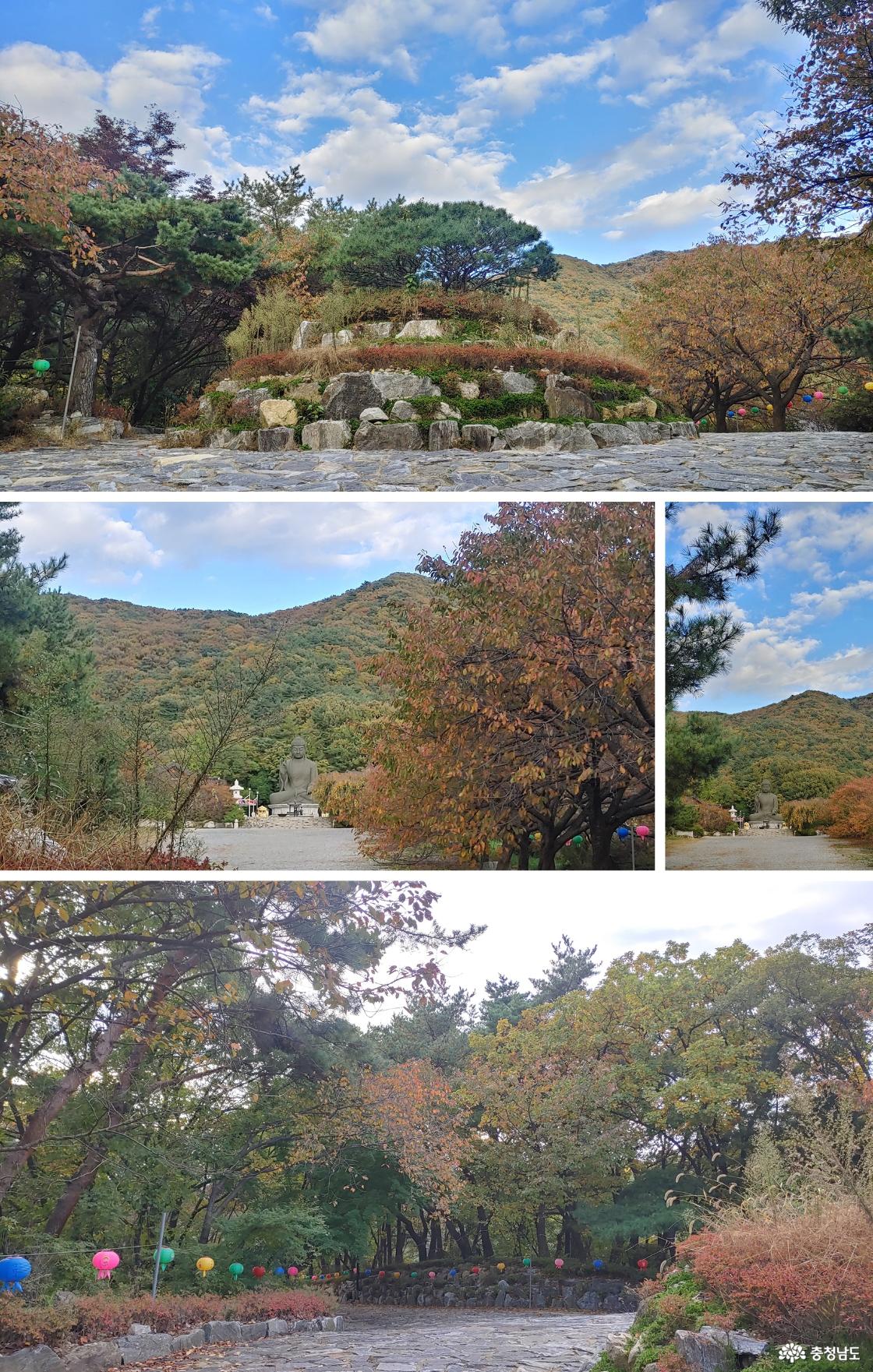 무량공덕 계단 위에 조성된 작은 동산 / 청동대불 / 청동대불에서 무량공덕 계단으로 내려가는 길목