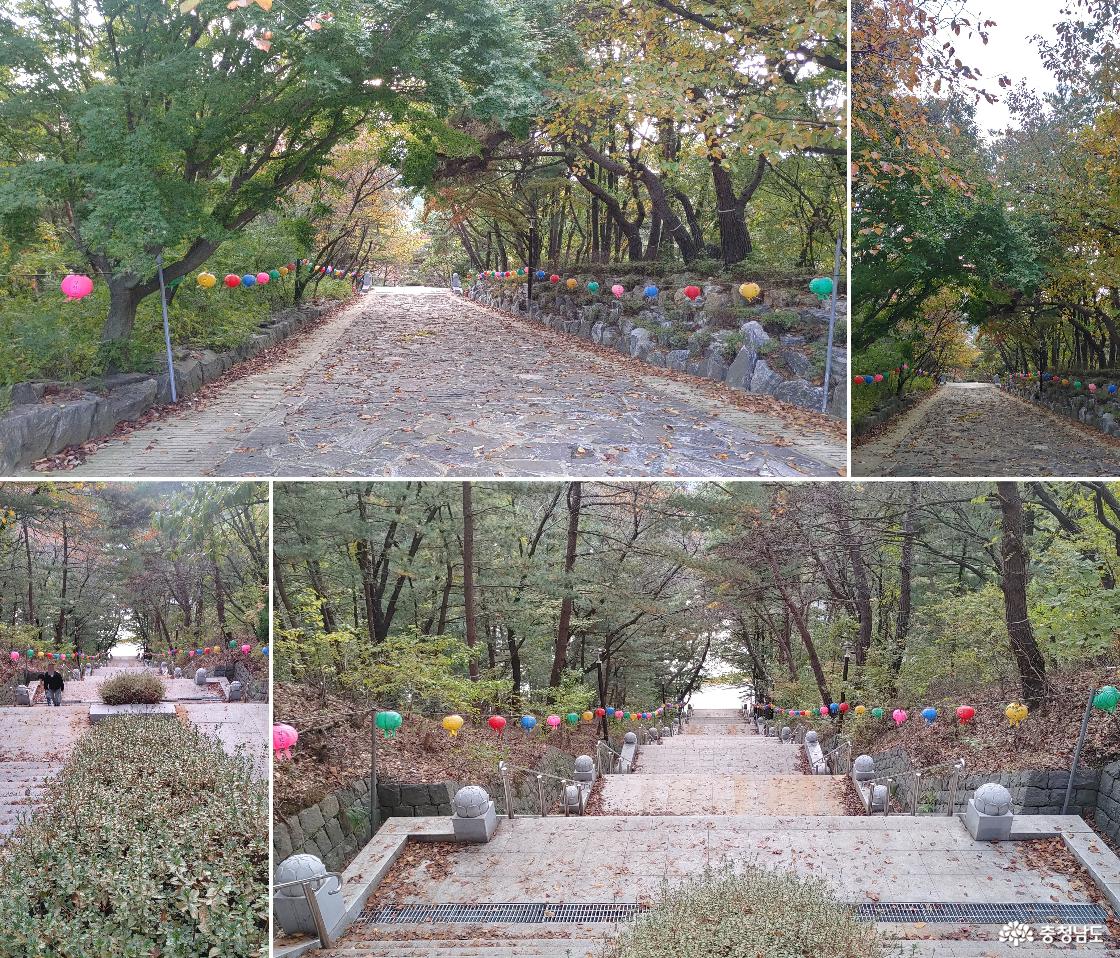 무량공덕 계단으로 향하는 완만한 내리막길/ 무량공덕 203 계단 중 일부