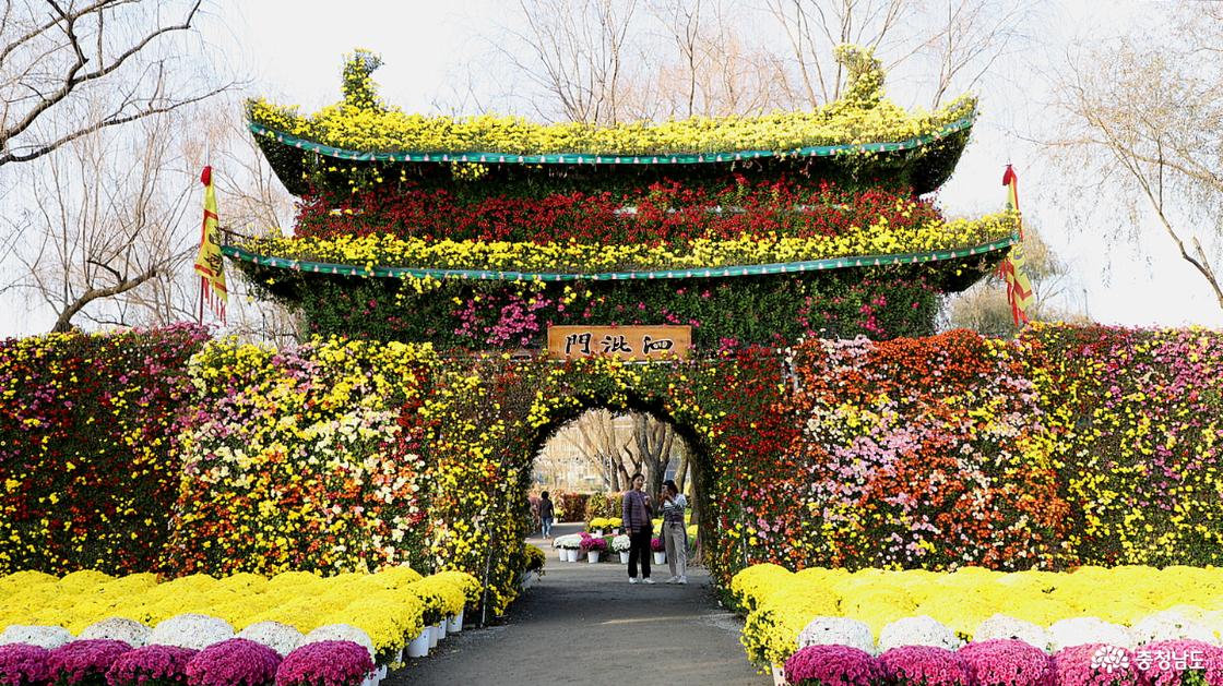 국화로 만든 사비문