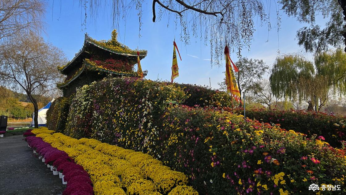 사비문의 성벽까지도 국화로 조성한 모습