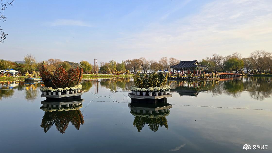 국화로 장식된 궁남지