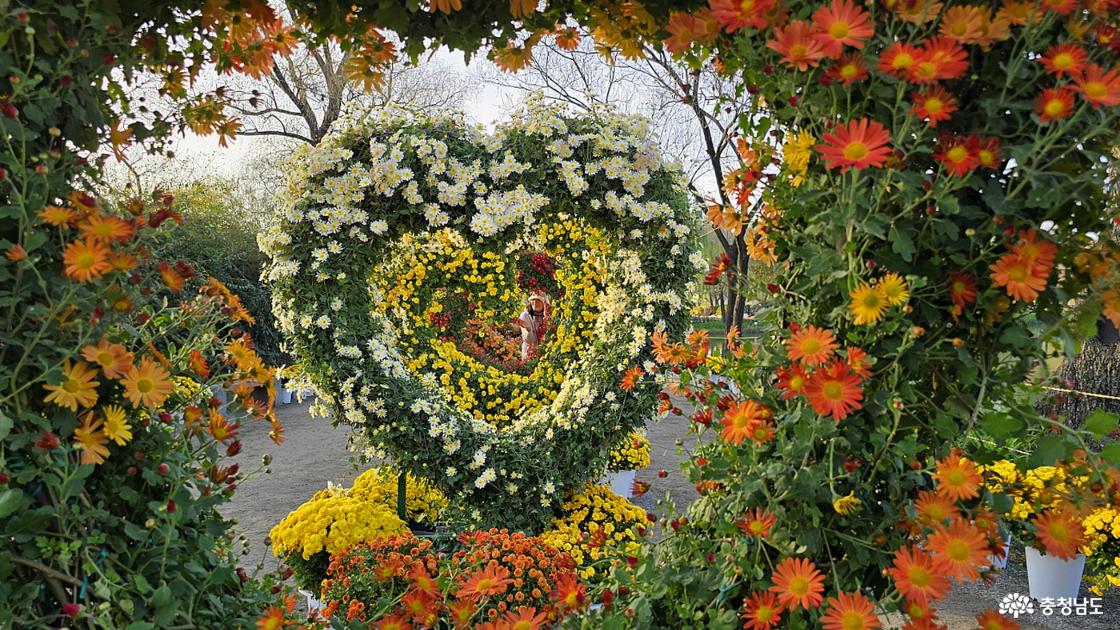 수많은 하트를 국화로 장식한 멋진 포토 존