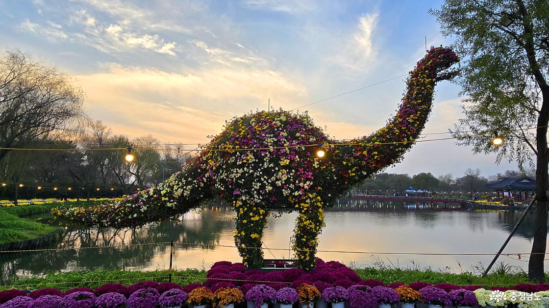 공룡도 국화로 태어난 모습