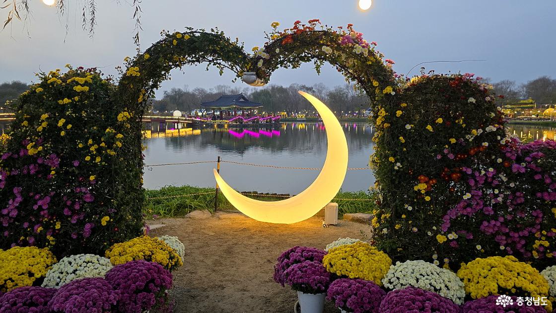 국화로 꾸민 하트와 초승달이 있는 포토 존