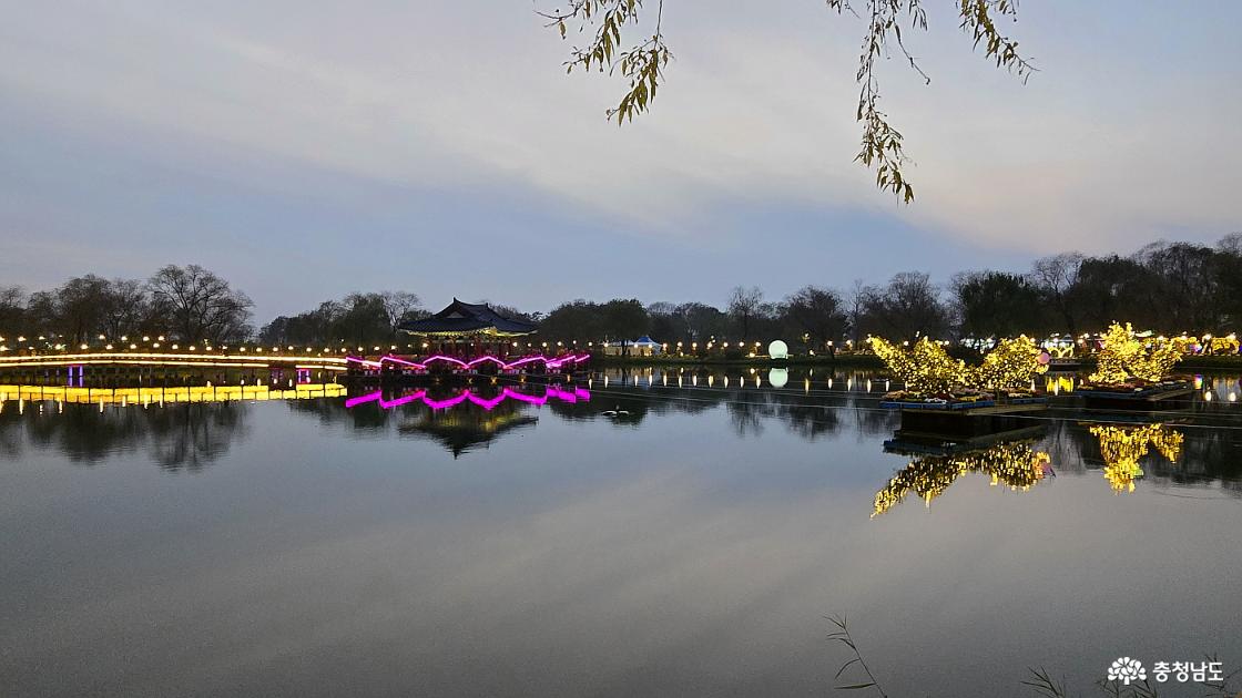궁남지의 밤을 밝히는 포룡정과 용의 모습