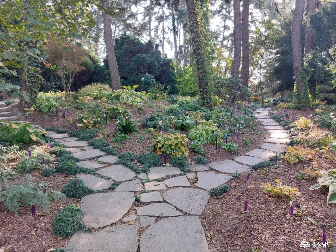 수목원 모습